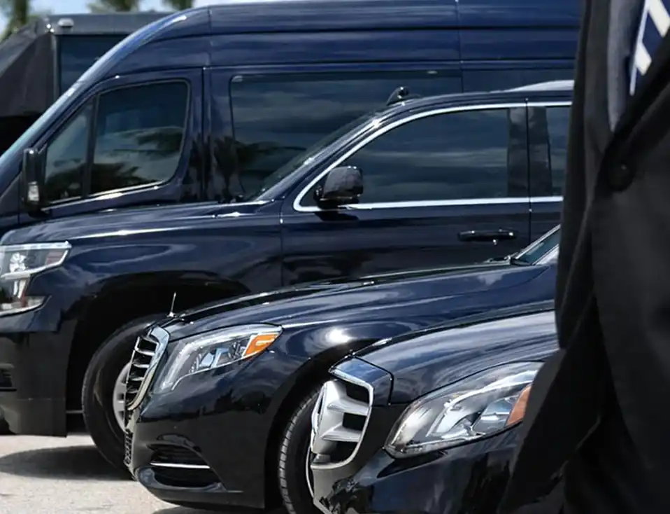 media.category.imagealternatetextformat